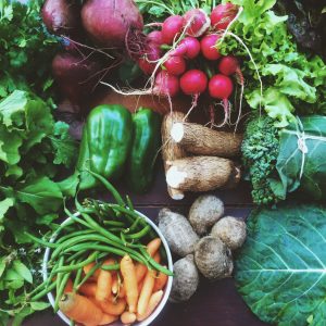 Vitaminas e Minerais